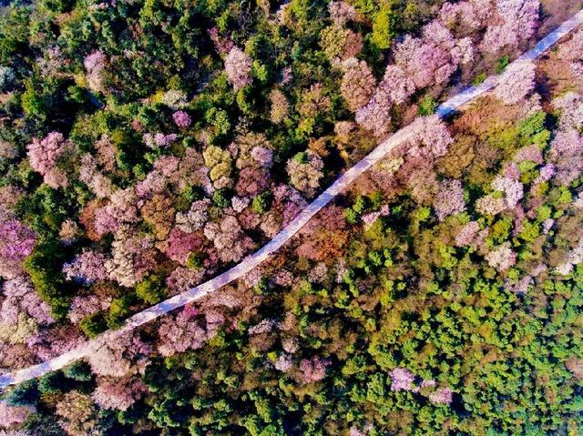 龟山镇有多少人口_商洛龟山有多少台阶